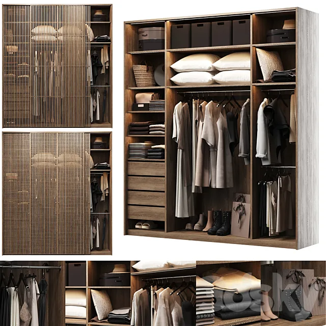Wardrobe with filling and two front options 3D Model
