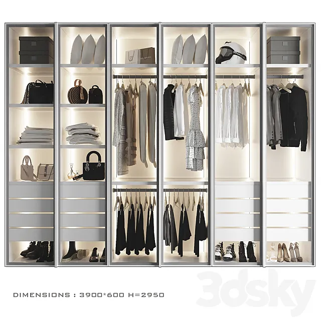 Wardrobe with glass doors 6 3D Model