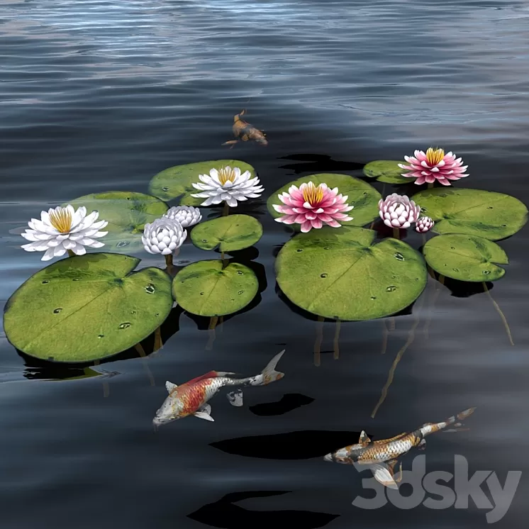 waterlily 2 3D Model