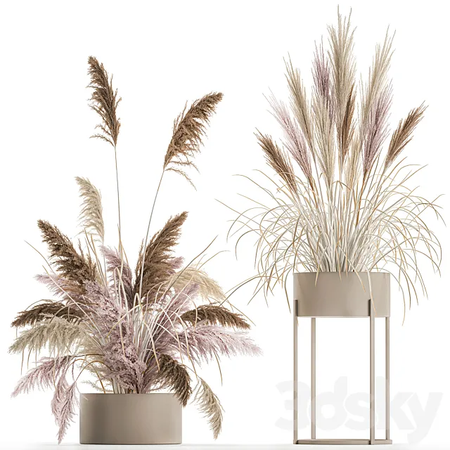 Wedding bouquet composition of pink dried flowers in a vase with Pampas grass Cortaderia veynik. 192. 3D Model