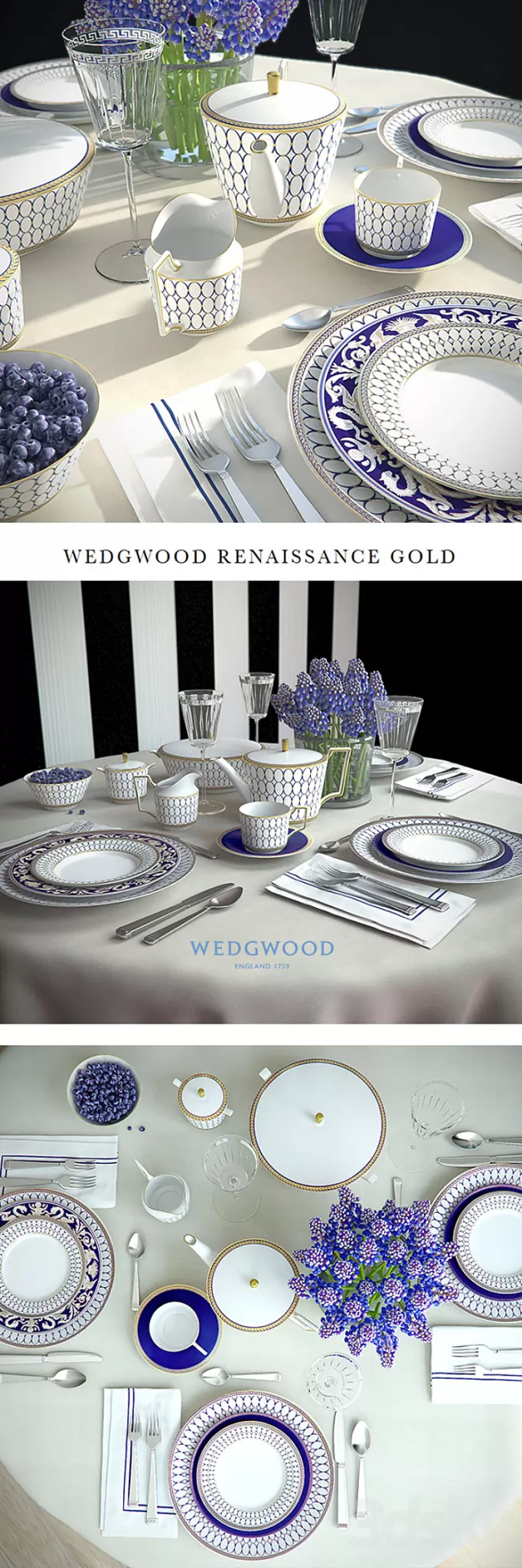 Wedgwood Renaissance Gold - Serving 3D Model