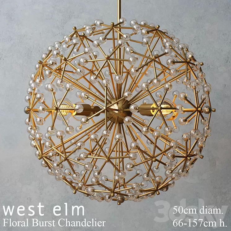 West elm - Floral Burst Chandelier 3D Model