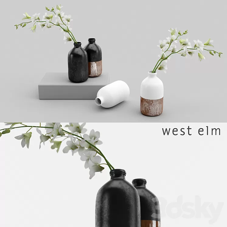 Westelm vases with Orchids 3D Model