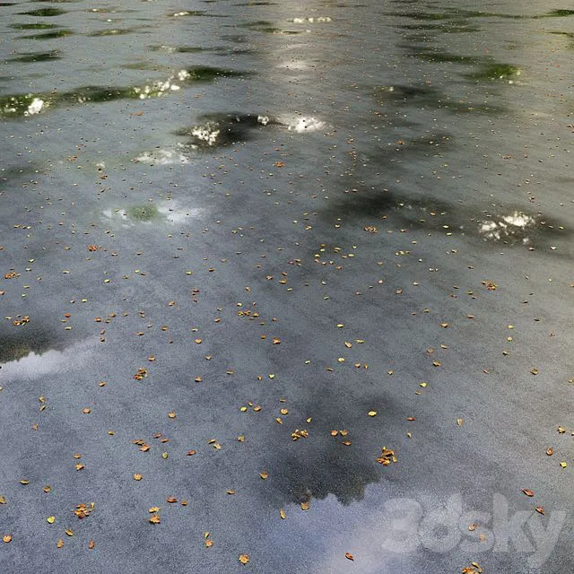 Wet asphalt with leaves. Autumn. Editable 3D Model