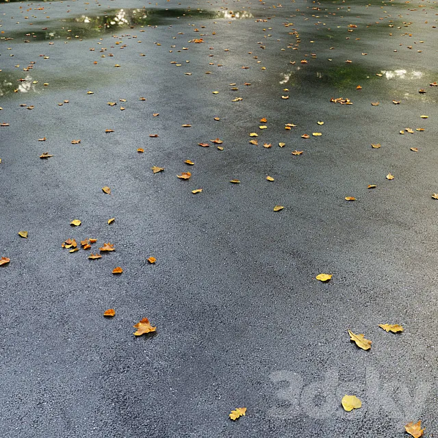 Wet asphalt with leaves. Autumn. Editable Free Download