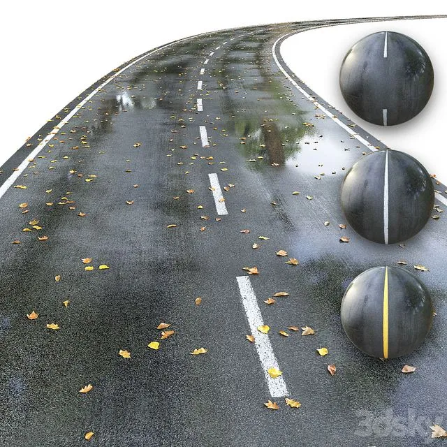 Wet Road with Markings Autumn 3D Model