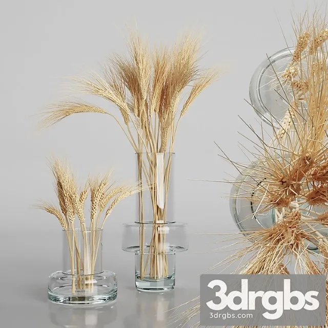 Wheat Bouquets 3D Model Free