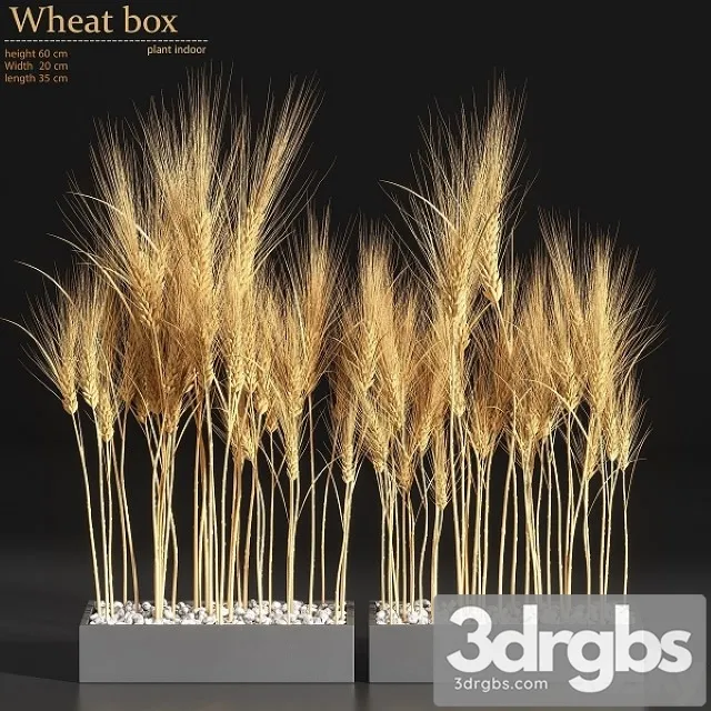 Wheat Box 3D Model Free