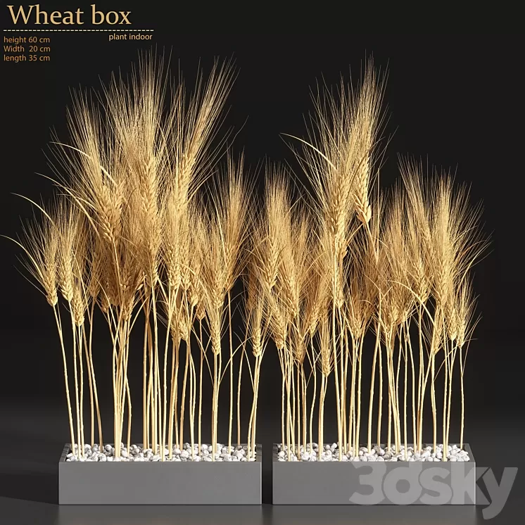 Wheat Box 3D Model