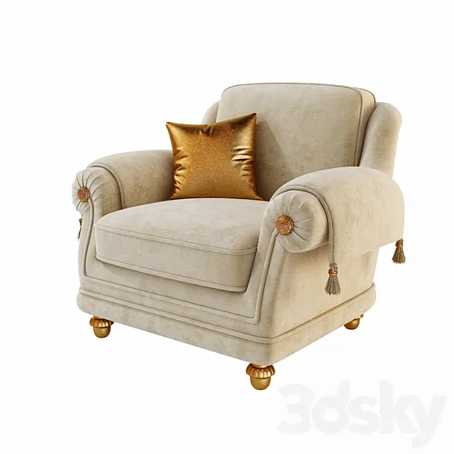 Wheelchair Pigoli 3D Model