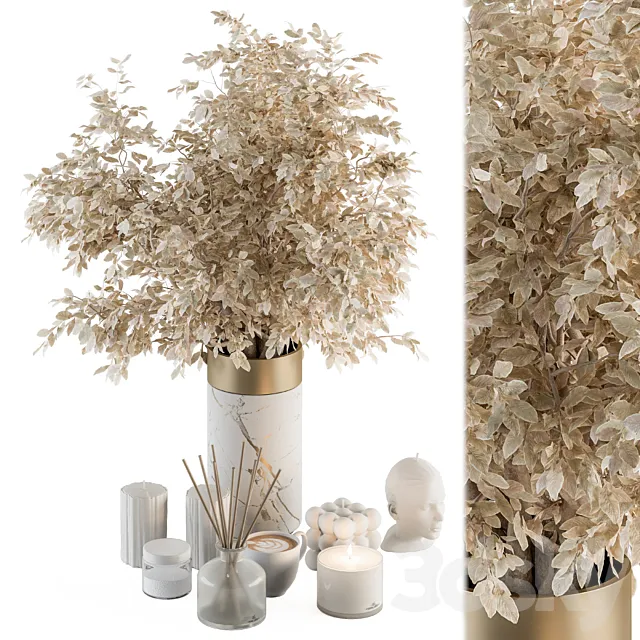 white and Gold Decorative Set with Dried plant - Set 106 3D Model