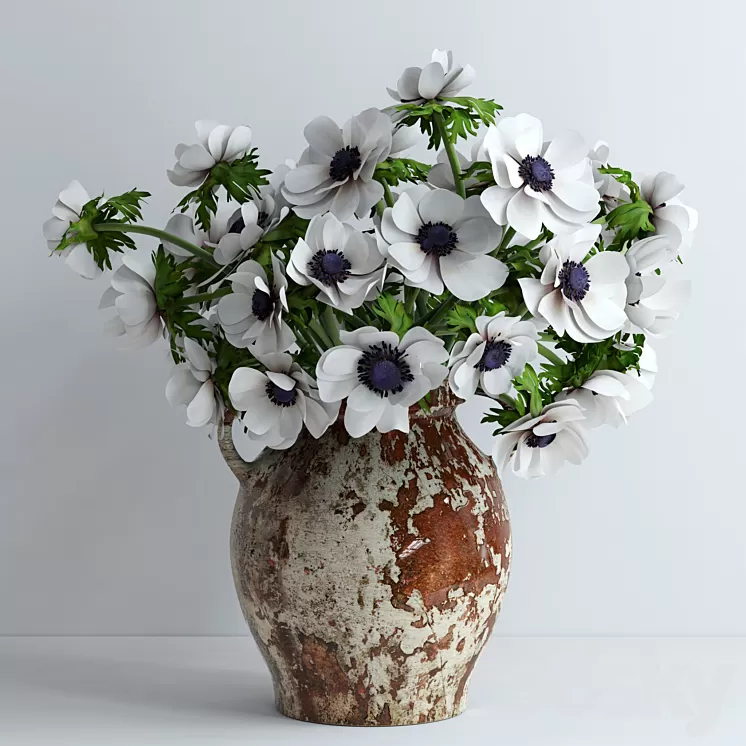 White anemones 3D Model