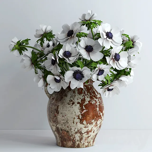 White anemones 3DModel