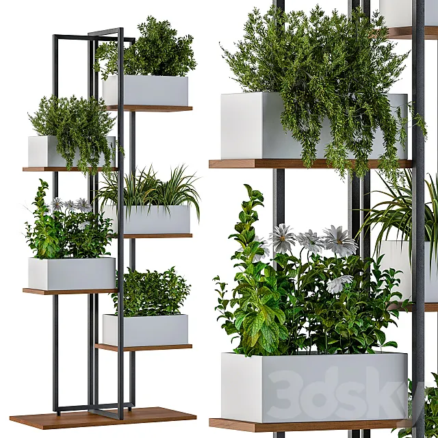 White Box Plants on stand 3D Model