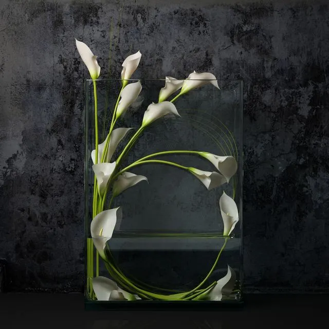 White calla 3D Model