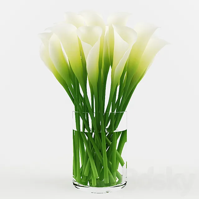 White calla 3DModel