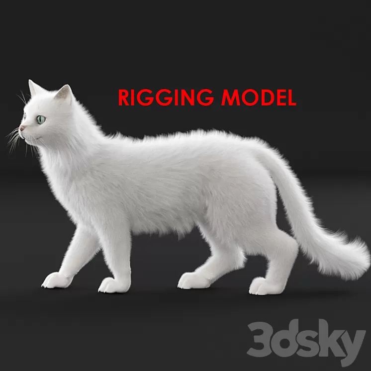 White cat (rig) 3D Model