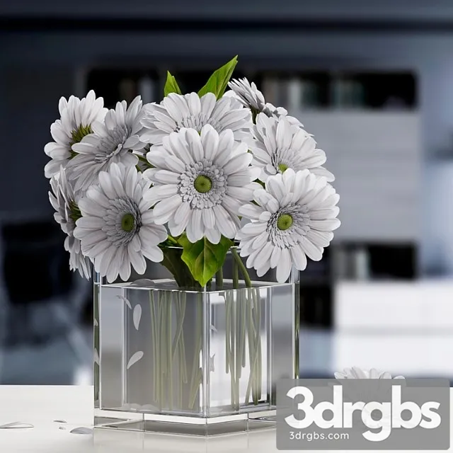 White Gerbera Flower 3D Model Free