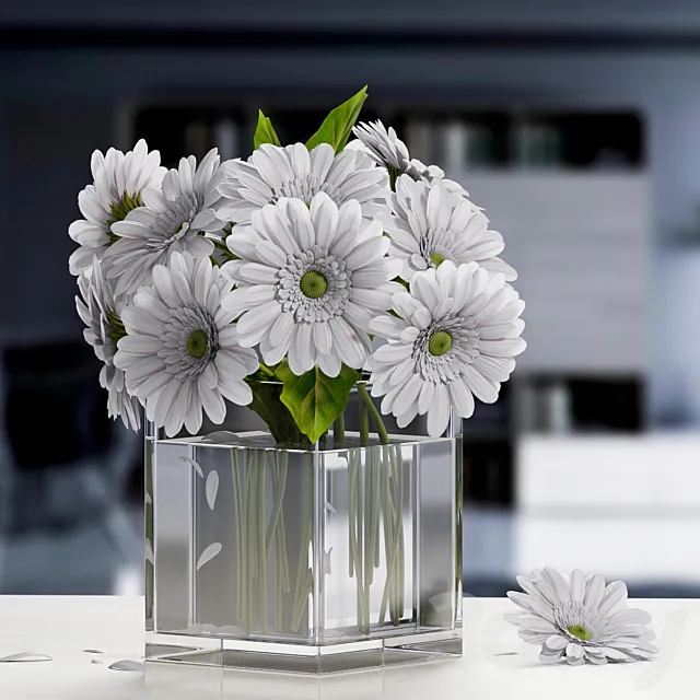 white Gerbera Flower 3DModel
