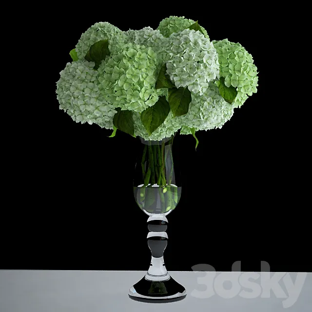 White hydrangea 3D Model