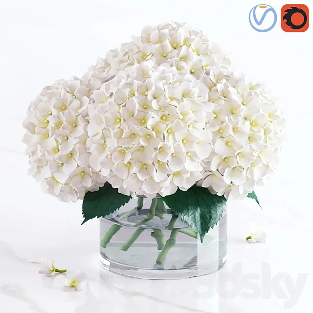 White hydrangea bouquet 3D Model