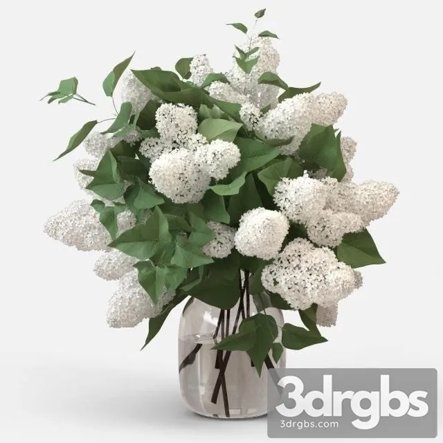White Lilac Bouquet 3D Model Free
