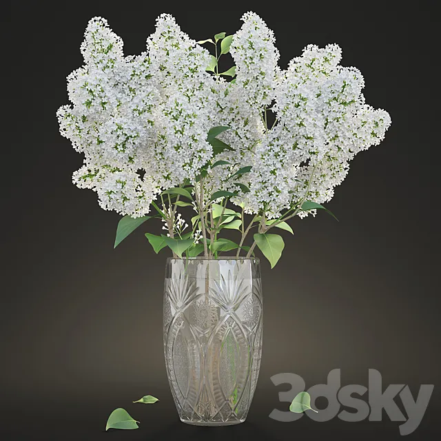 White lilac in a crystal vase _ White Lilac in a crystal Vase 3D Model
