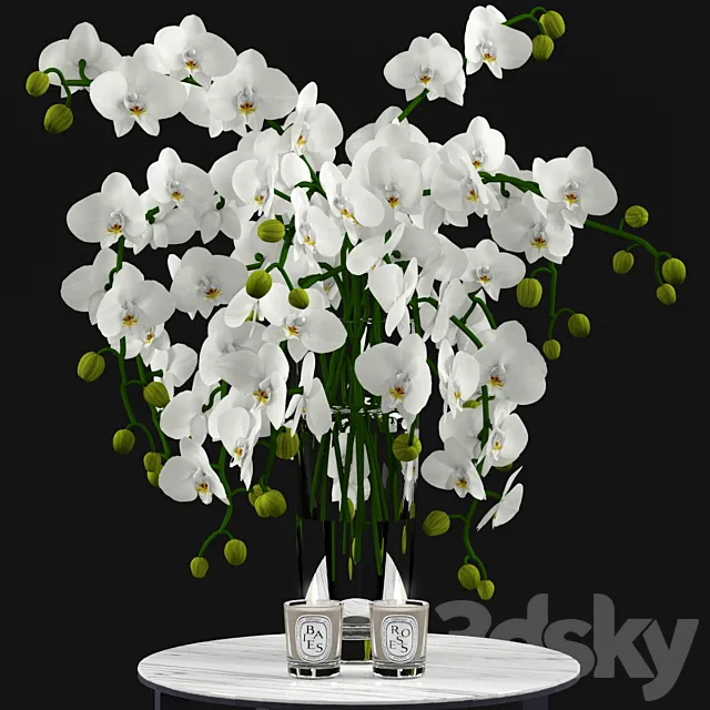 White Orchids and Candles 3D Model