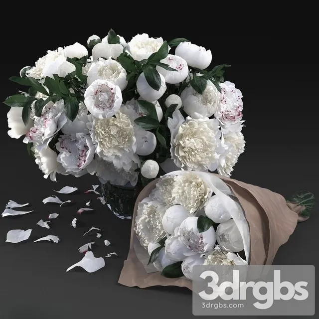 White Peonies 3D Model Free