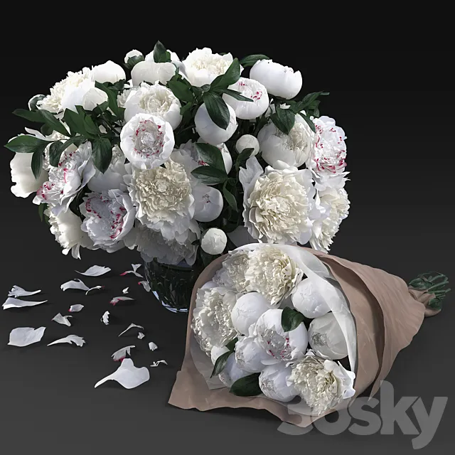 White Peonies 3DModel