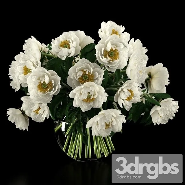 White Peonies Bouquet 3D Model Free