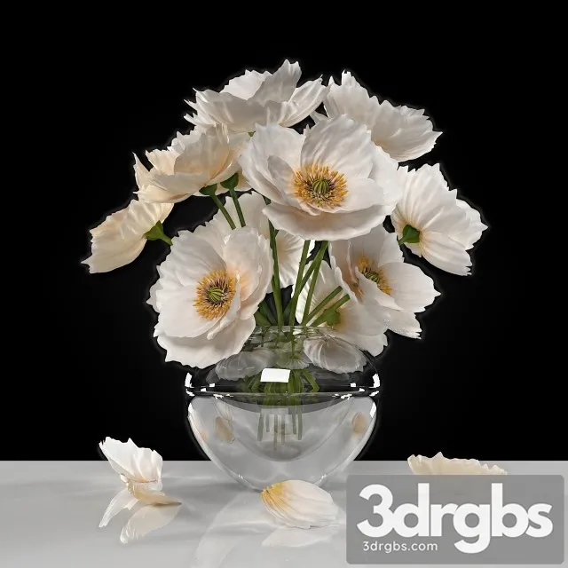 White Poppies 3D Model Free