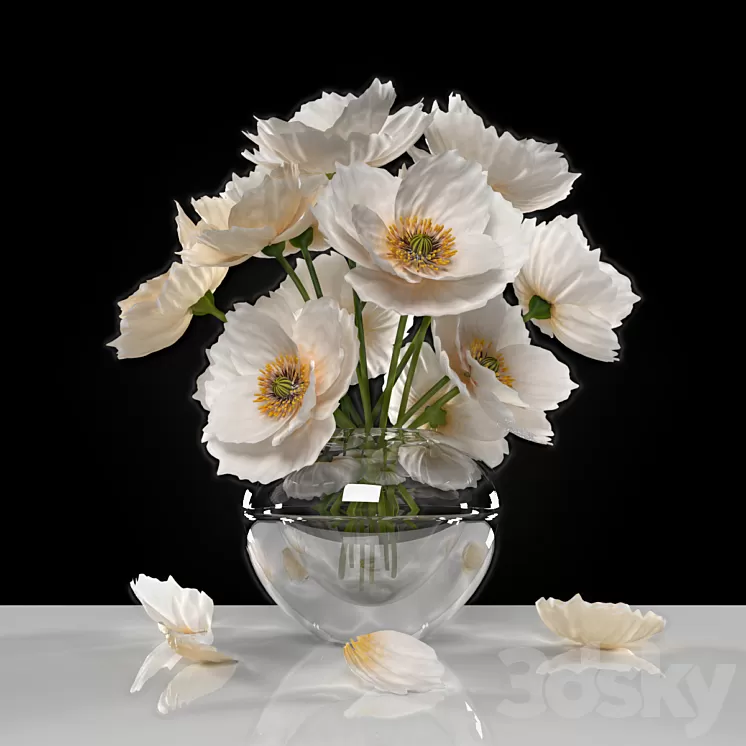 WHITE POPPIES 3D Model