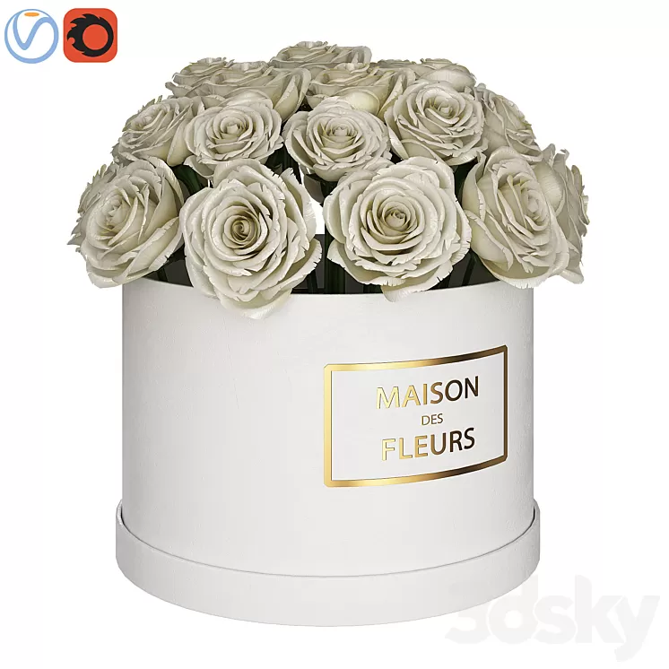 White roses in box 3D Model