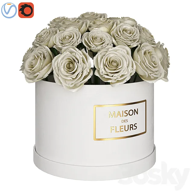 White roses in box 3DModel
