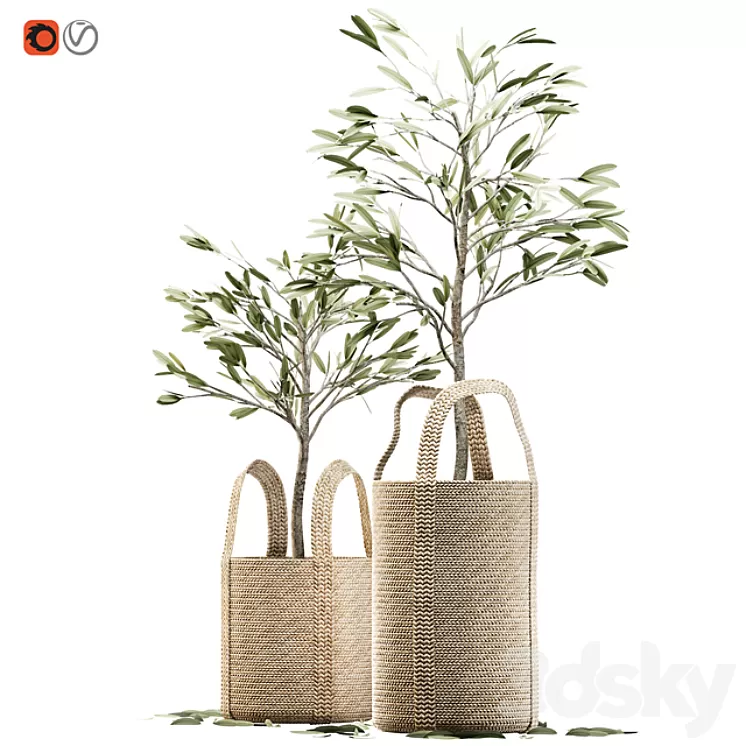 Wicker basket containing the delicate olive tree in pastel tones 3D Model
