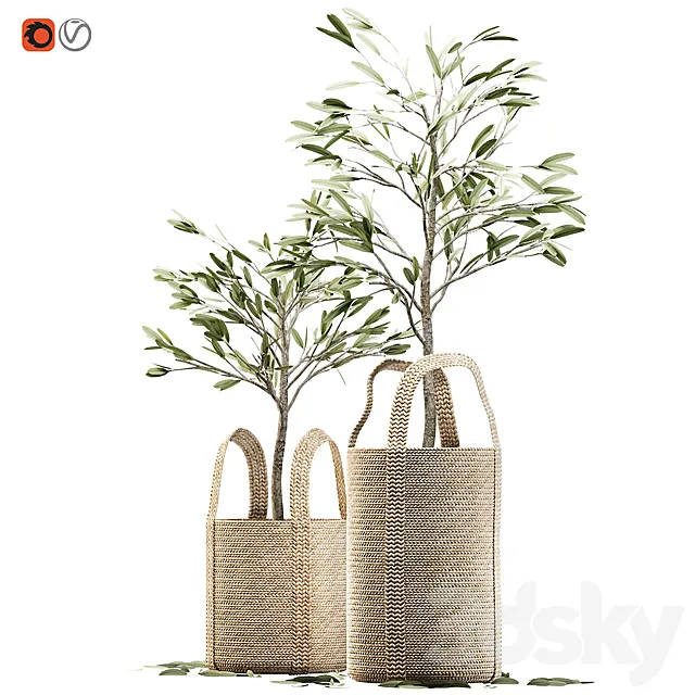 Wicker basket containing the delicate olive tree in pastel tones 3D Model