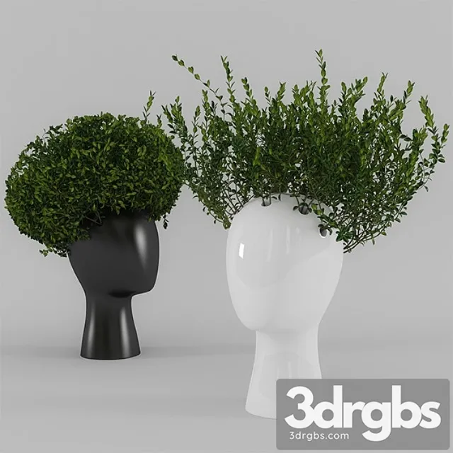 Wig Vase With Boxwood Part 1 3D Model Free