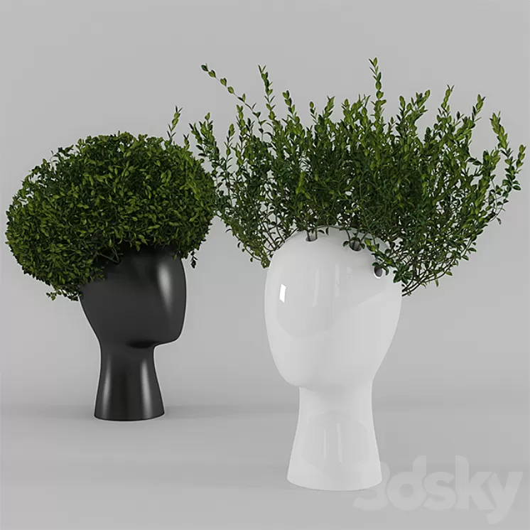 Wig vase with boxwood (part 1) 3D Model