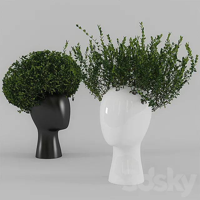 Wig vase with boxwood (part 1) 3DModel