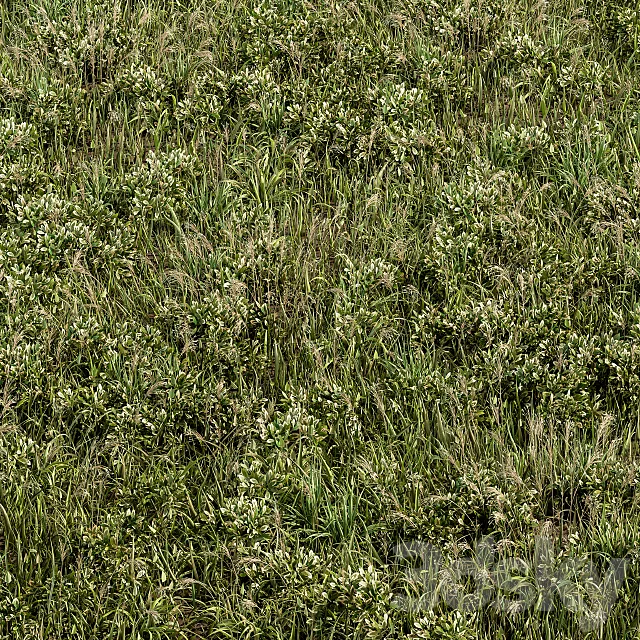 Wild Grass Green – Grass Set 01 3D Model