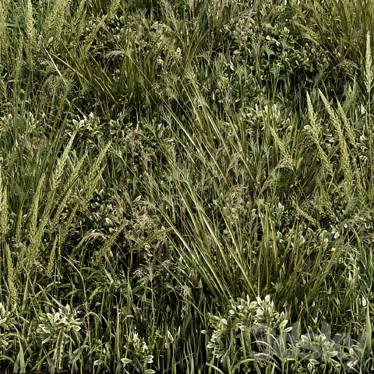 Wild Grass Green - Grass Set 03 3D Model