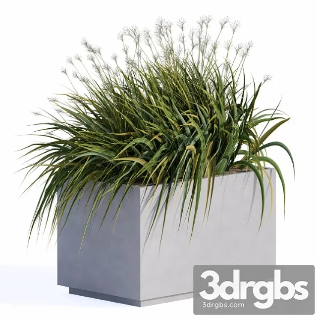 Windy Grass And Plants In Concrete Box 3D Model Free