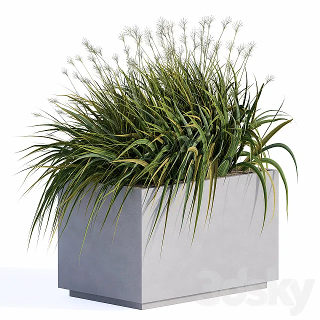 windy grass and Plants in Concrete Box 3D Model