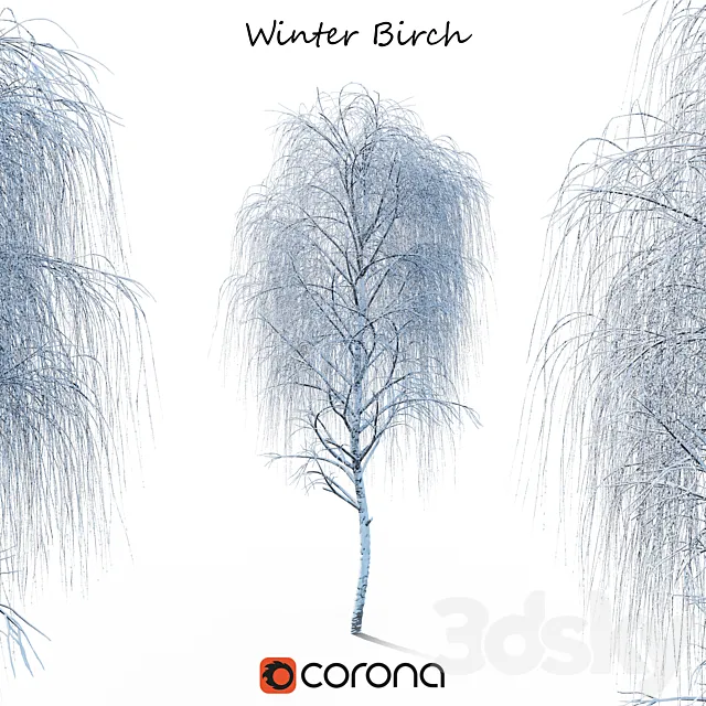 Winter birch 3DModel