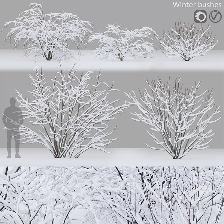 Winter bushes # 1 3D Model Free