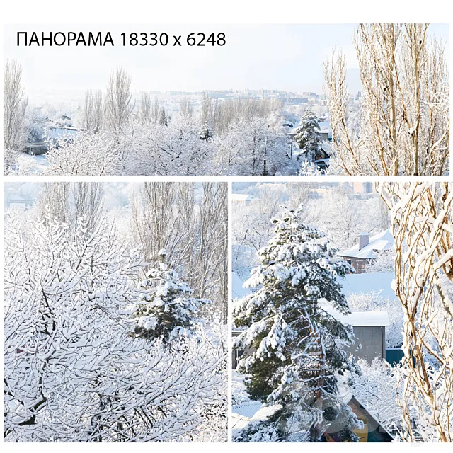 Winter panorama. View from the window. Free Download