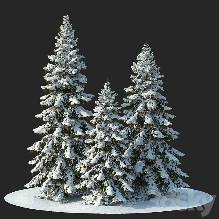 Winter spruces (Winter spruces) 3D Model Free