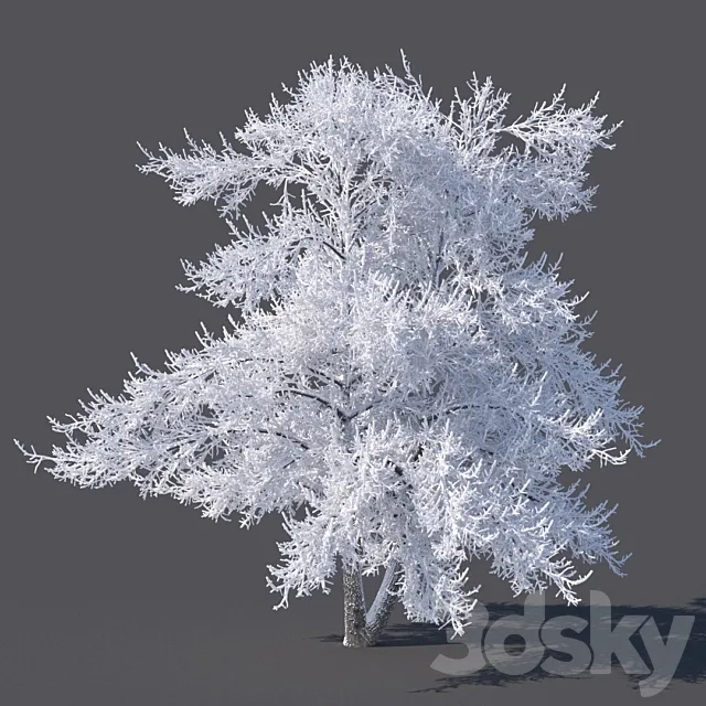 Winter tree (6 meters) 3DModel