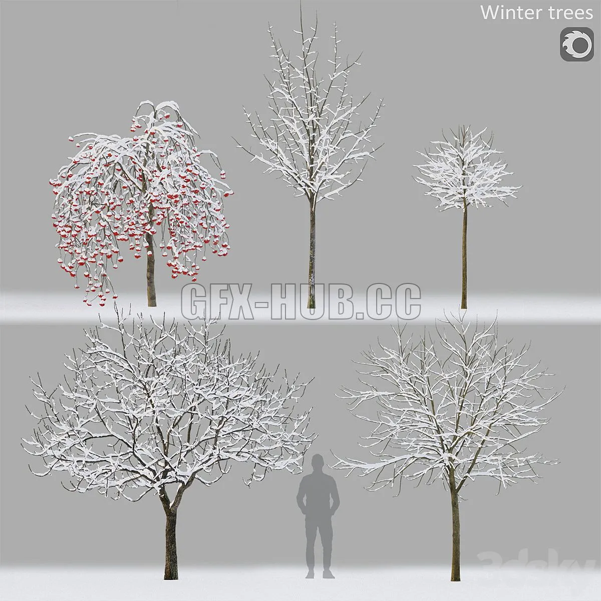 Winter trees 1 3D Model
